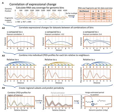 Elucidating the Influence of Chromosomal Architecture on Transcriptional Regulation in Prokaryotes – Observing Strong Local Effects of Nucleoid Structure on Gene Regulation